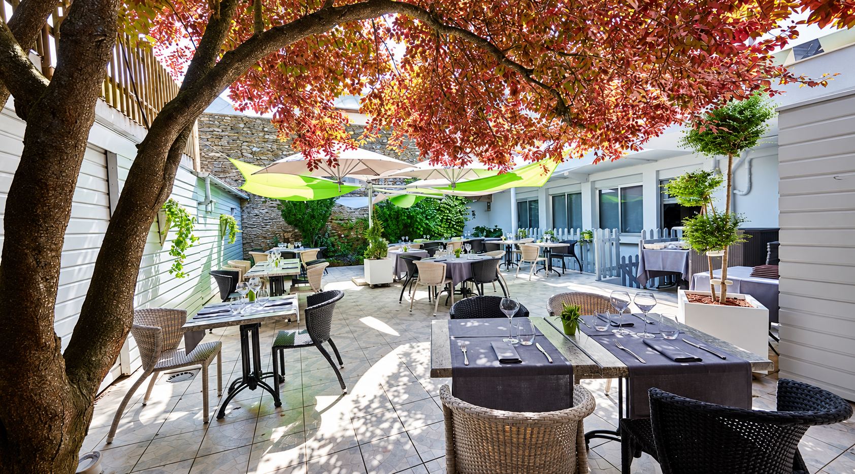 Une terrasse de restaurant en plein air avec des tables dressées, des fauteuils en rotin et des parasols, à l'ombre d'un arbre au feuillage pourpre.